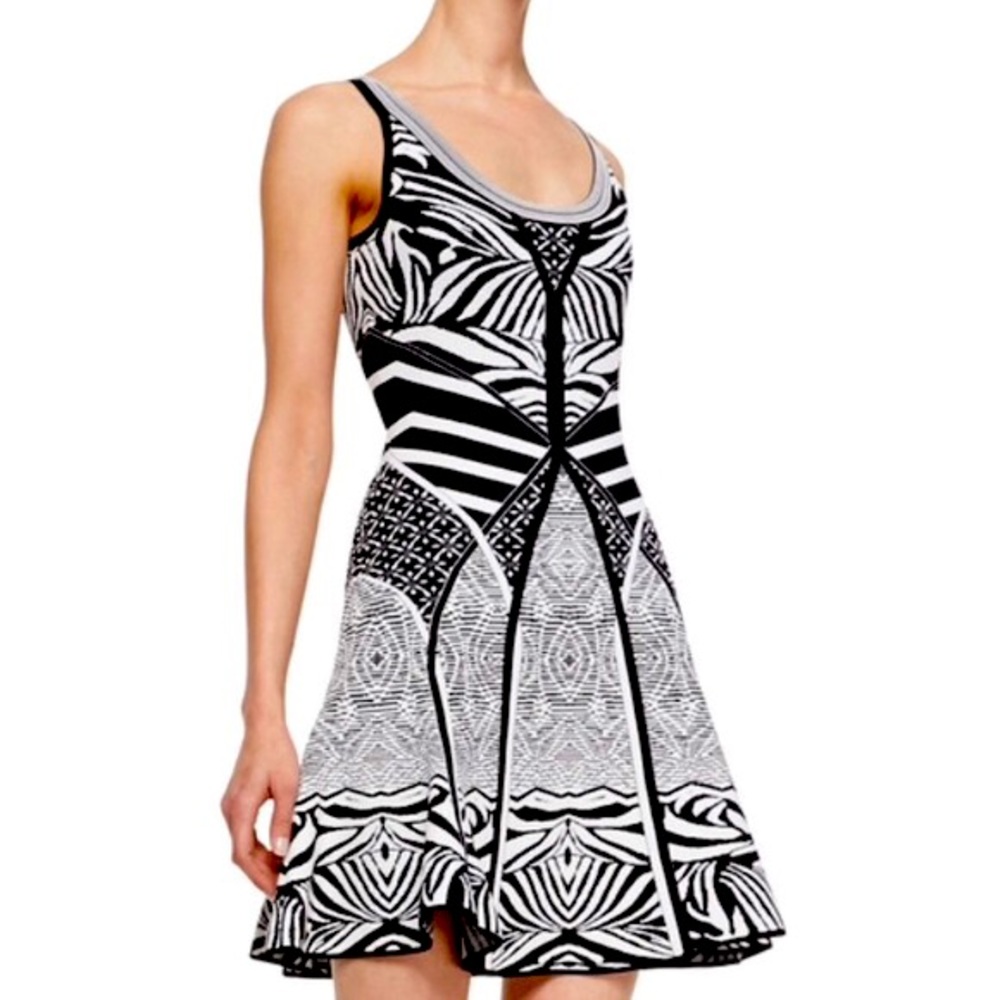 DVF Zebra Print Fit and Flare Dress